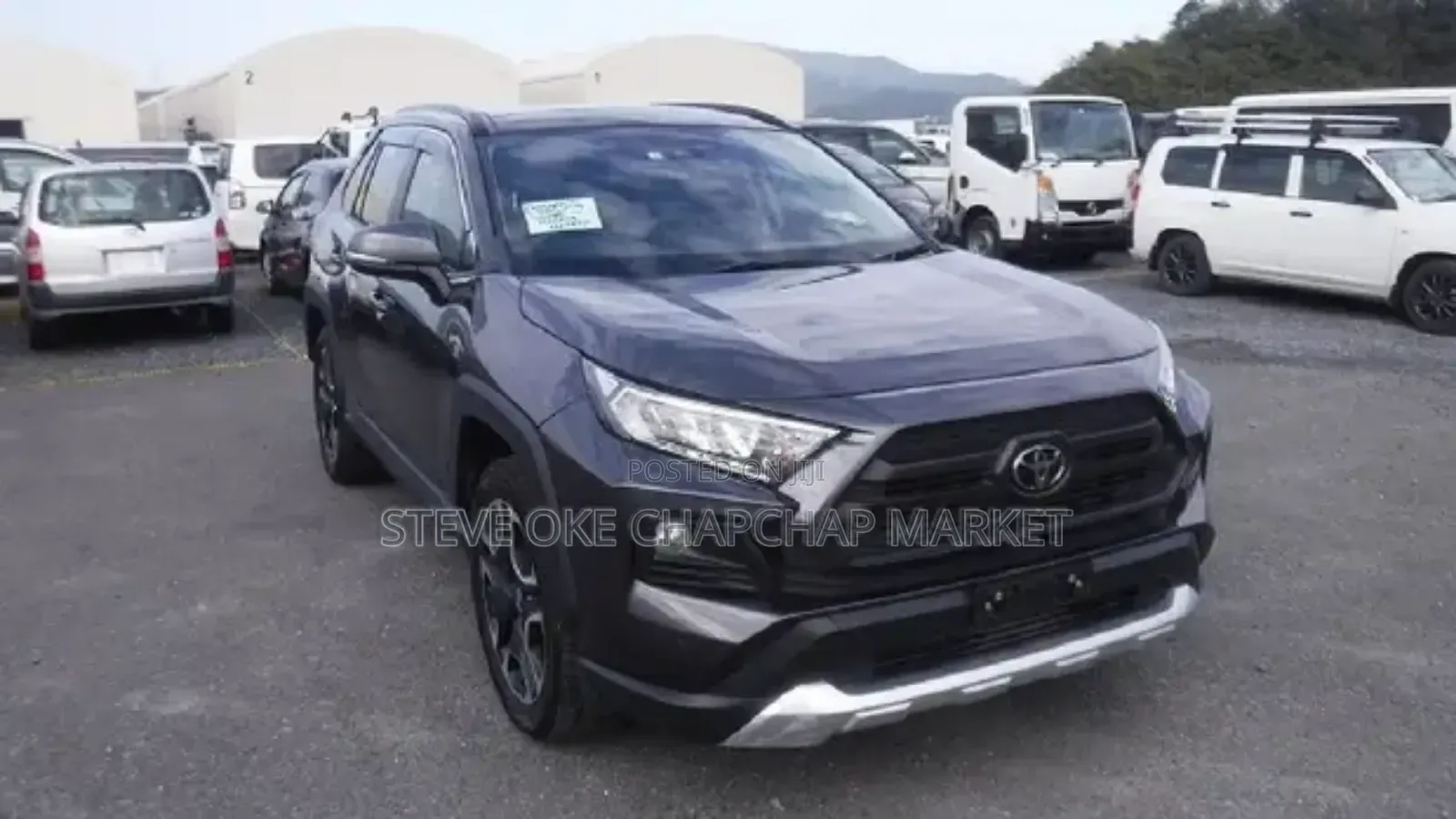 Toyota RAV4 Adventure 2019 Gray