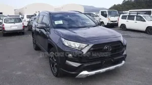Toyota RAV4 Adventure 2019 Gray