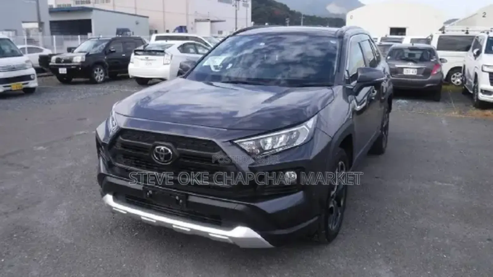 Toyota RAV4 Adventure 2019 Gray