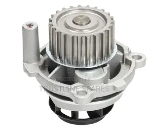Audi A1,A4,A6,Bora,Golf IV,Newbeetle,Passat B5 - Water Pump