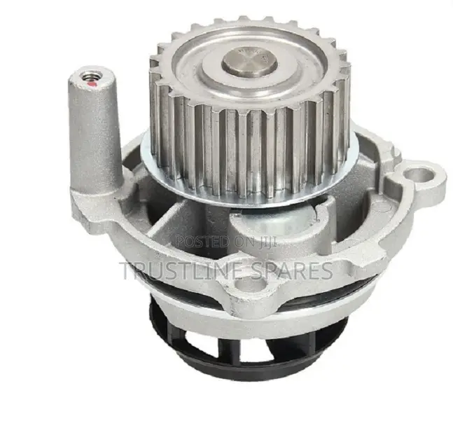 Audi A1,A4,A6,Bora,Golf IV,Newbeetle,Passat B5 - Water Pump
