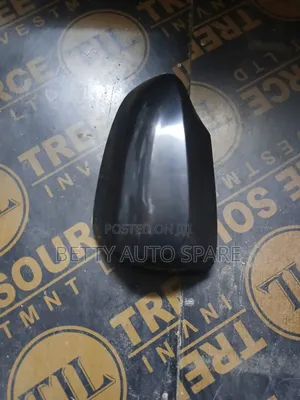 Fielder 2015/2017 Side Mirror Covers