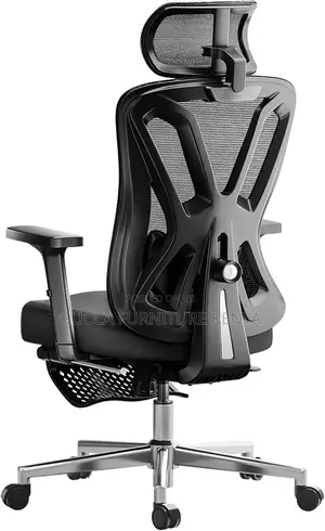 Office Chairs: Ergonomic Mesh High Back Desk Chair