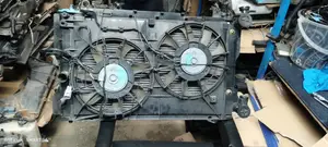 Clean Ex Japan Wish 2010,2012 Radiator Available