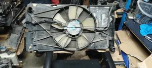 Clean Ex Japan NZE, Old Fielder Radiator Available