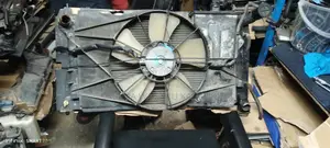 Clean Ex Japan NZE, Old Fielder Radiator Available