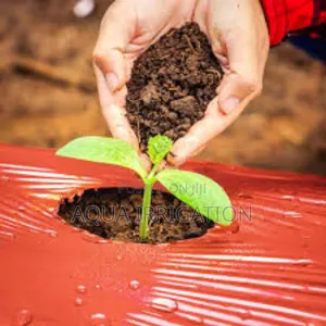 Effective Weed Control With Mulch Film Paper
