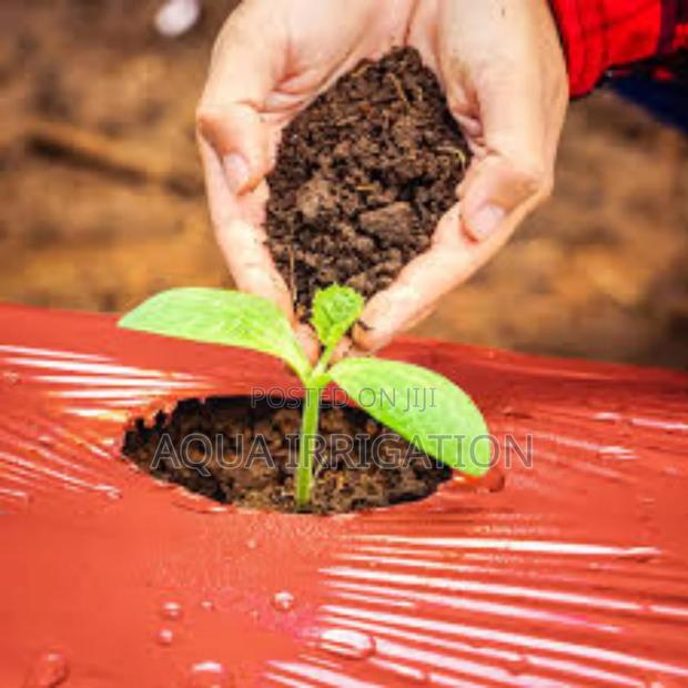 Effective Weed Control With Mulch Film Paper