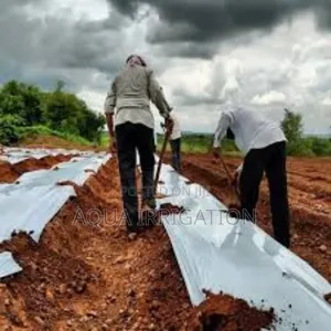 Protect Your Soil With Premium Mulch Films