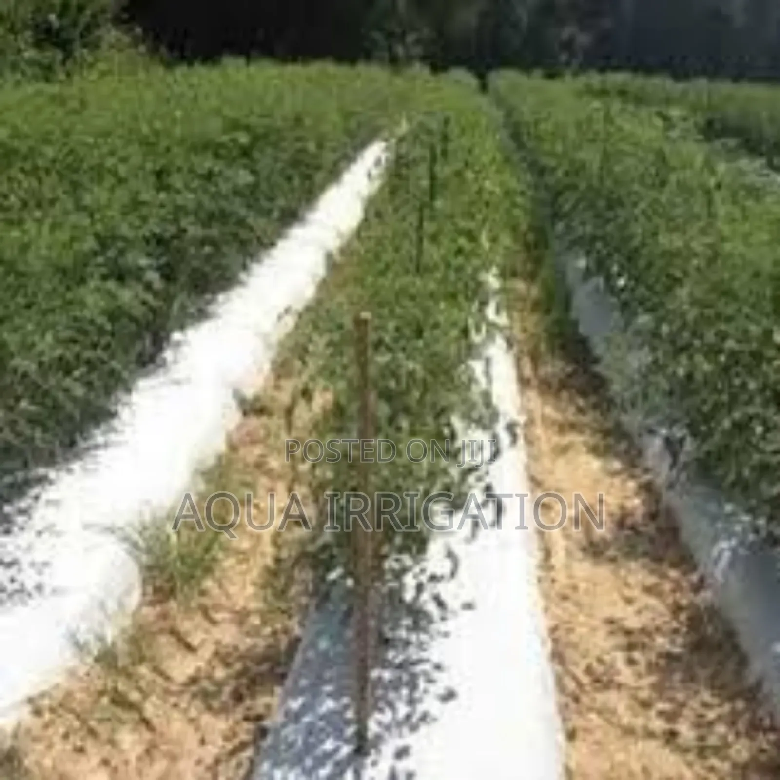 Uv-Resistant Mulch Film for Long-Term Use