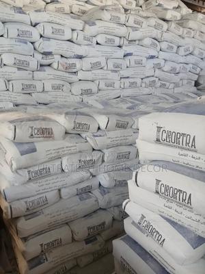 Cleopatra 52.5 N - main view