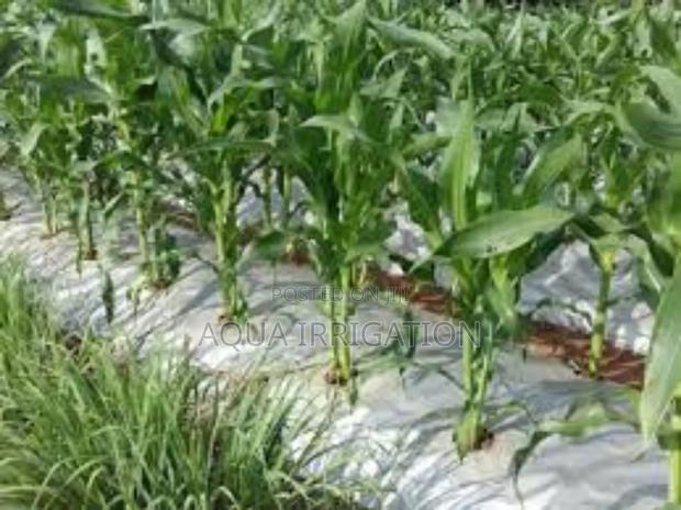 Mulch Films: Enhancing Soil Health and Crop Yield - main view