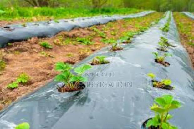 Plastic Mulch Films: Benefits and Drawbacks - main view
