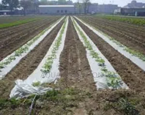 The Role of Mulch Films in Climate-Resilient Agriculture