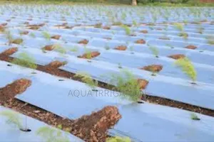 Polymeric Mulch Films and Their Agricultural Significance