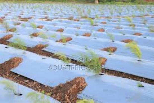 Polymeric Mulch Films and Their Agricultural Significance - main view