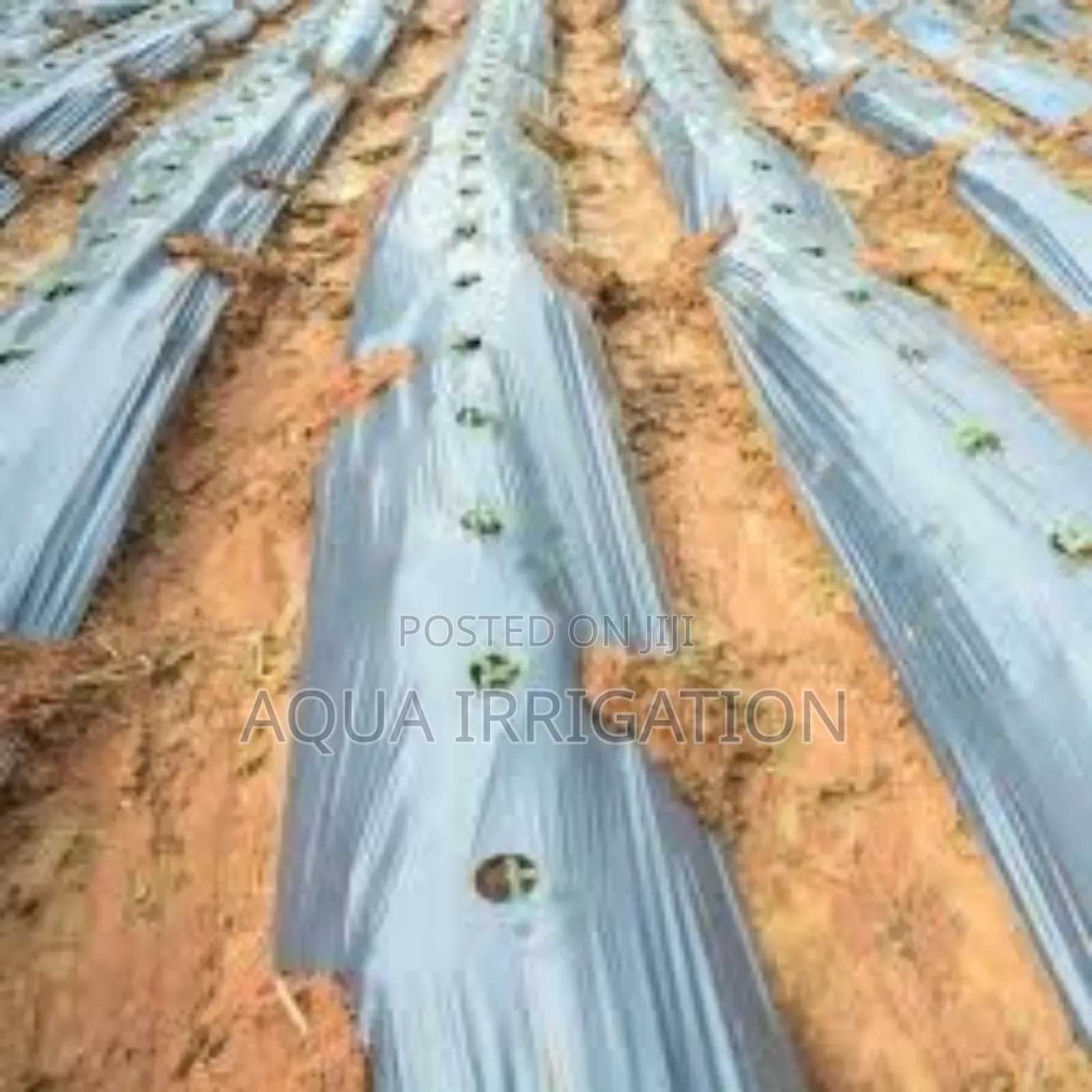 Future Trends in Mulch Film Development for Agriculture