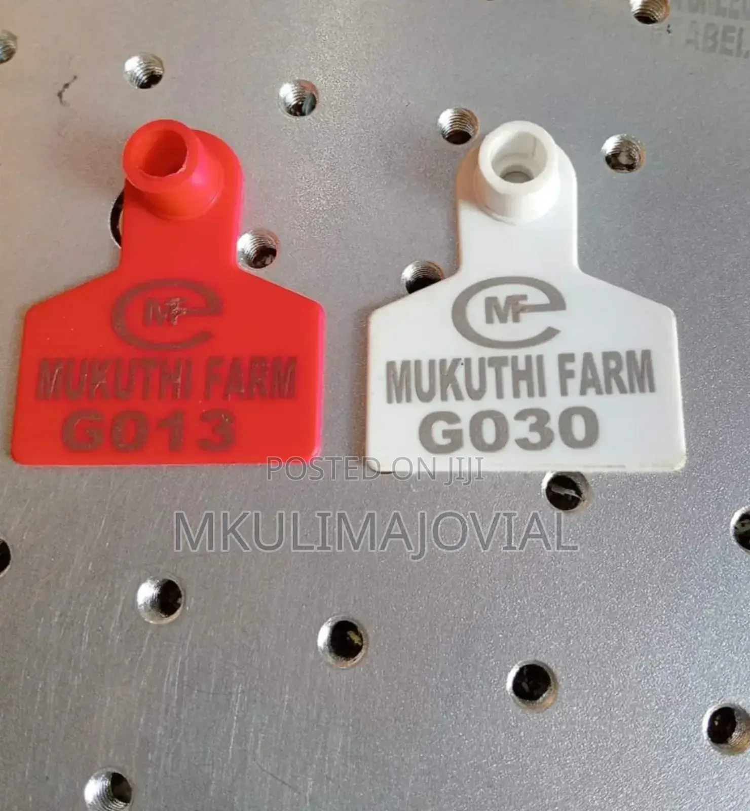 Broad-Shaped Goat/Sheep Personalized Tags
