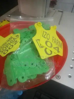 Large Branded/Personalized Tags