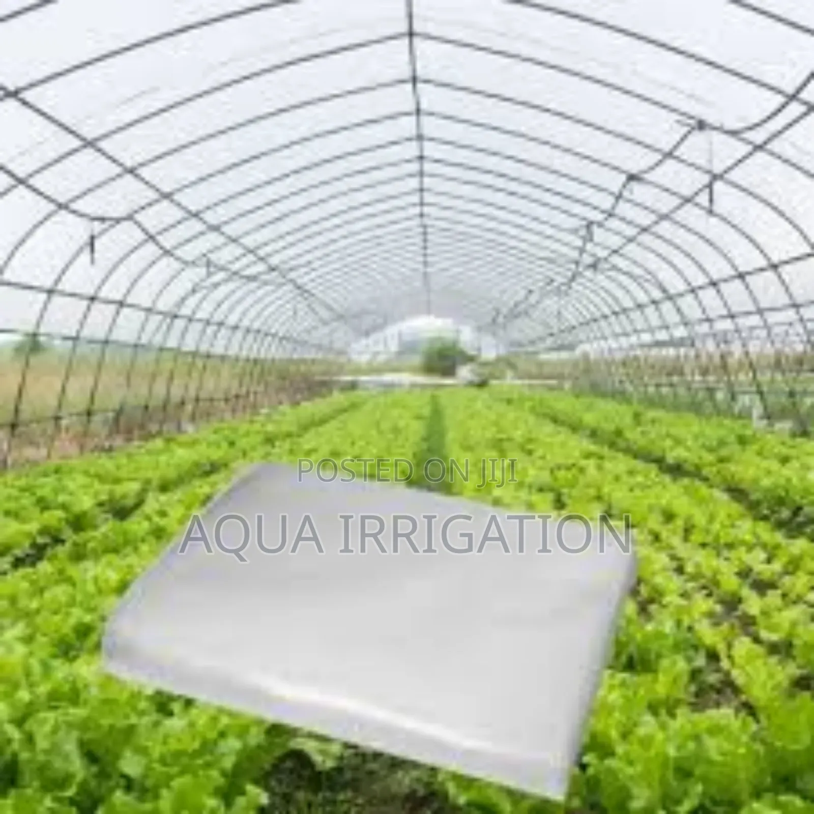 Transparent Greenhouse Covers For Optimal Sunlight
