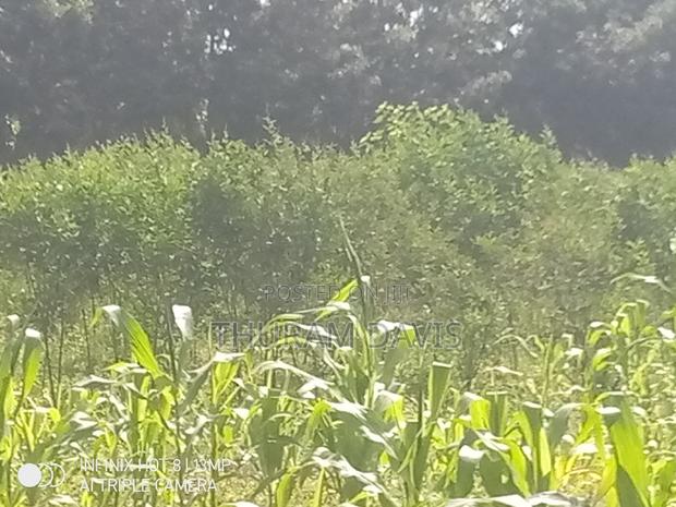 1 Acre Ruiri - thumbnail 3