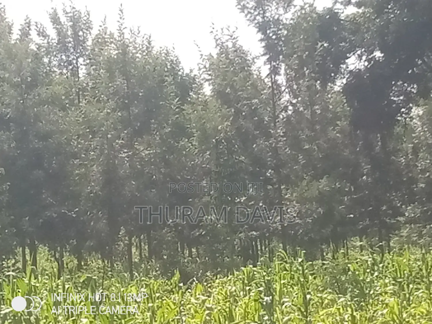 1 Acre Ruiri