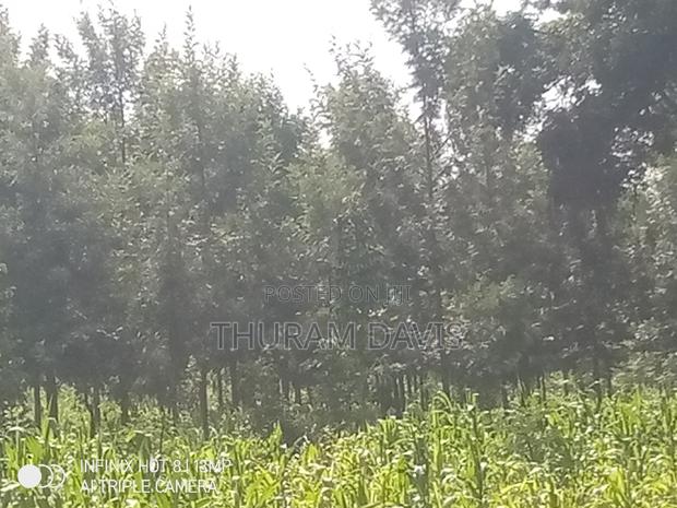 1 Acre Ruiri - thumbnail 2