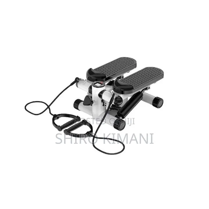 Mini Stepper Exercise Machine