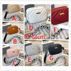 Waist and Chest Bag