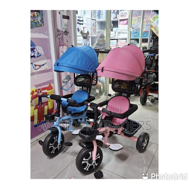Tricycle With Canopy for Kids - main view