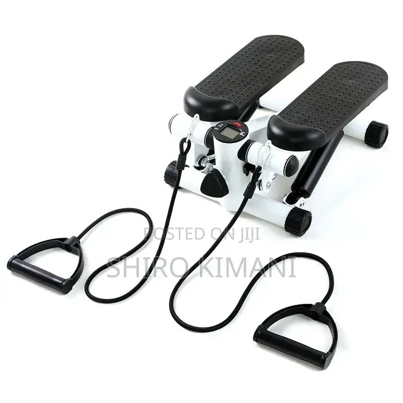 Workout Mini Stepper