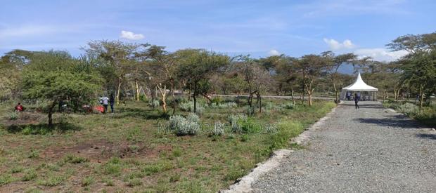 1/8 Acre Controlled Development Plots In Kimuka - thumbnail 7