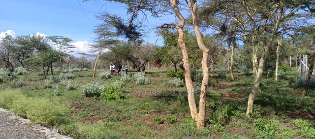 1/8 Acre Controlled Development Plots In Kimuka - thumbnail 11