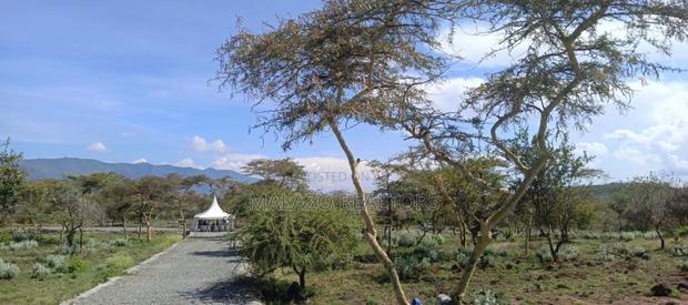 1/8 Acre Controlled Development Plots In Kimuka - thumbnail 12