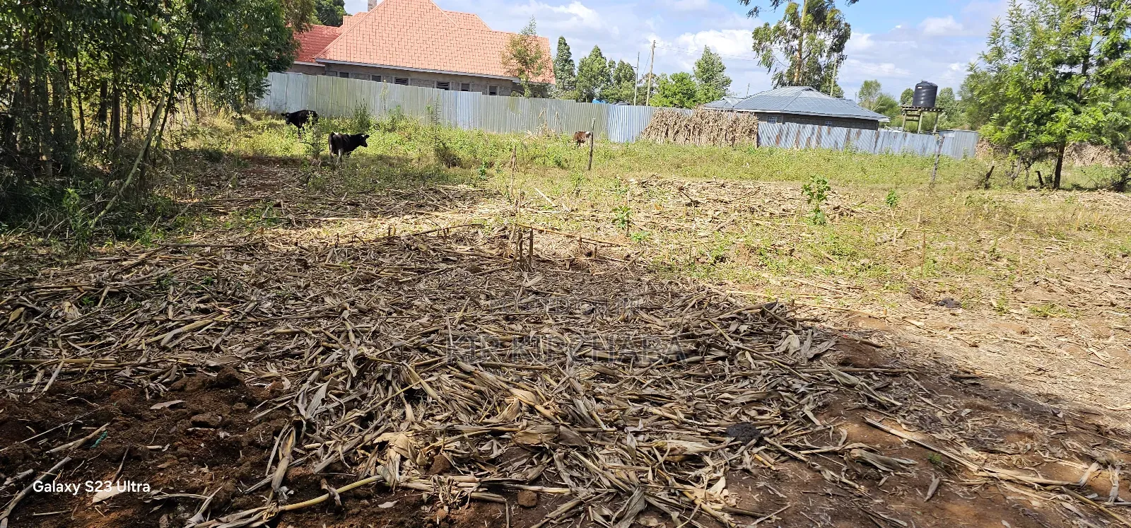 Prime 1⁄4 Acre Plot For Sale In Outspan Dc In Eldoret