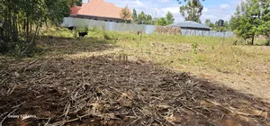 Prime 1⁄4 Acre Plot For Sale In Outspan Dc In Eldoret