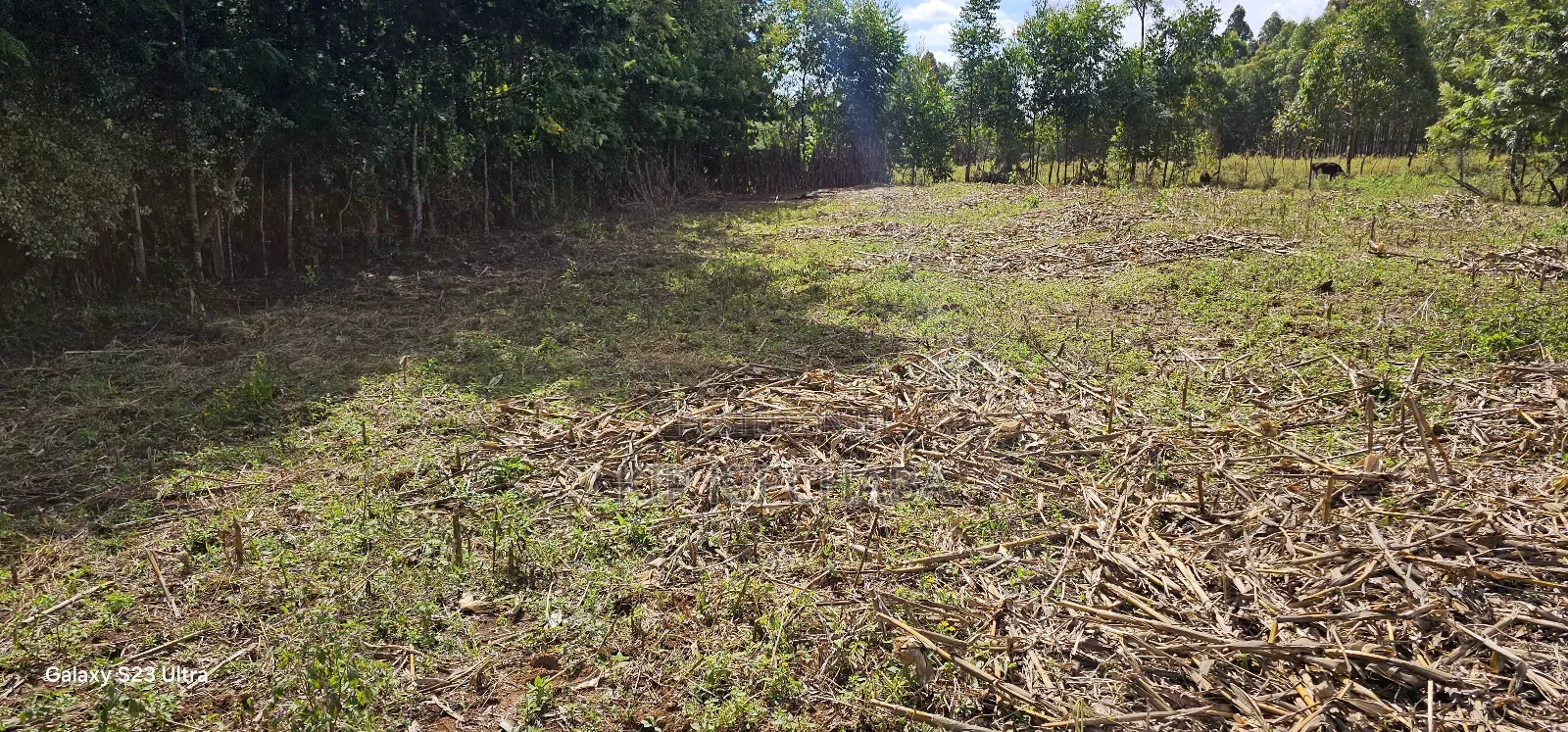 Prime 1⁄4 Acre Plot For Sale In Outspan Dc In Eldoret