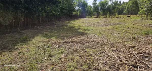 Prime 1⁄4 Acre Plot For Sale In Outspan Dc In Eldoret