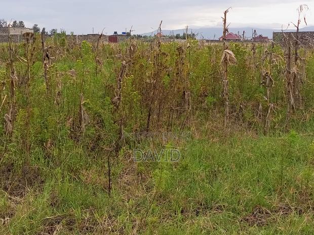 Plot for Sale in Mwariki C Nakuru - thumbnail 4
