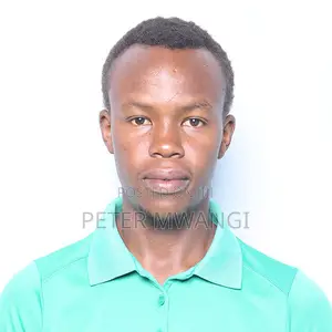 Seeking for a Personal Driver Job