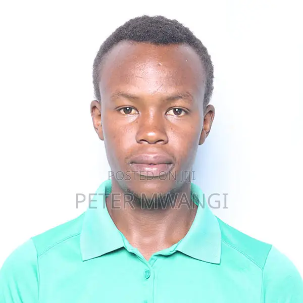 Seeking for a Personal Driver Job