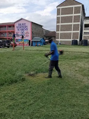 Grass Cutting and Flower Trimmings
