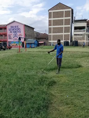 Grass Cutting and Flower Trimmings