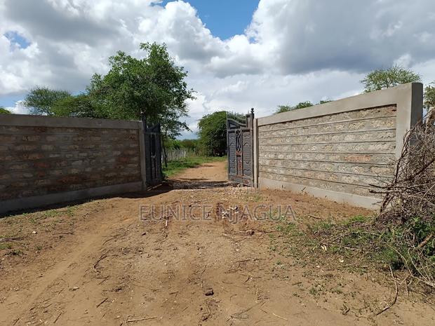 Joy Gardens - thumbnail 2