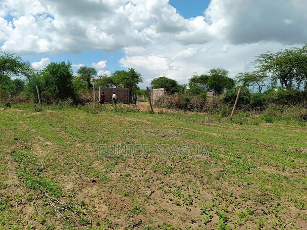 Joy Gardens - thumbnail 3