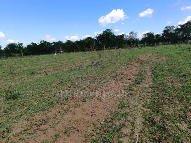 Joy Gardens - thumbnail 4