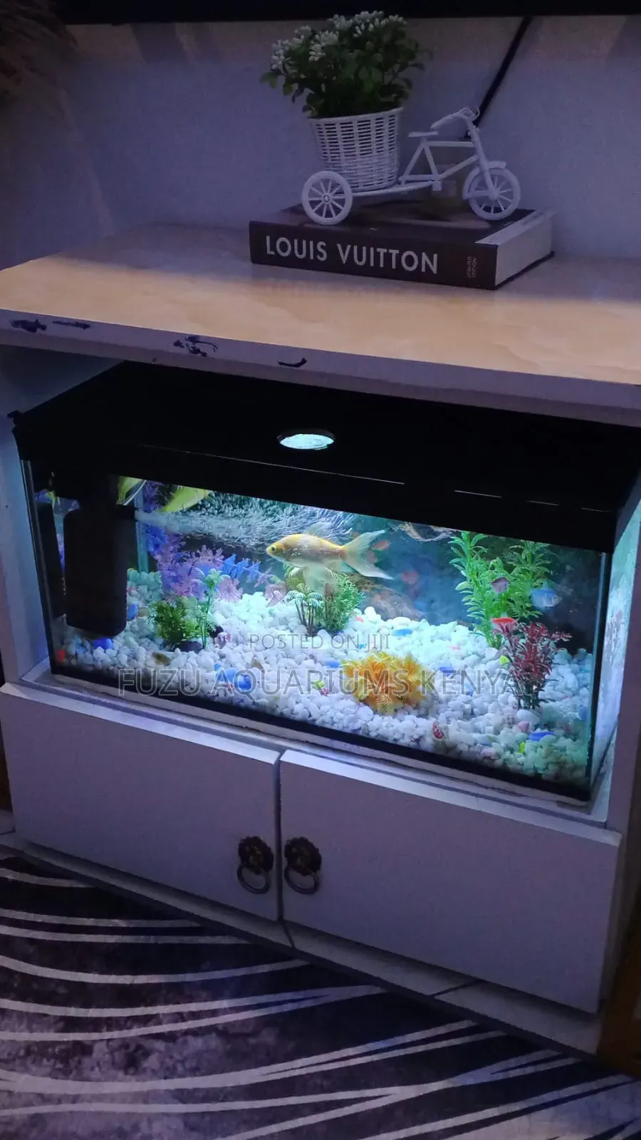 Lovely Bright Aquarium