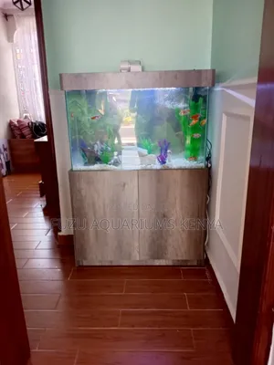 Elegant Aquariums With Sleek Finish