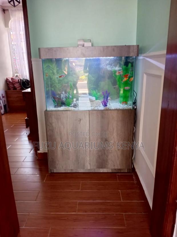 Elegant Aquariums With Sleek Finish - main view