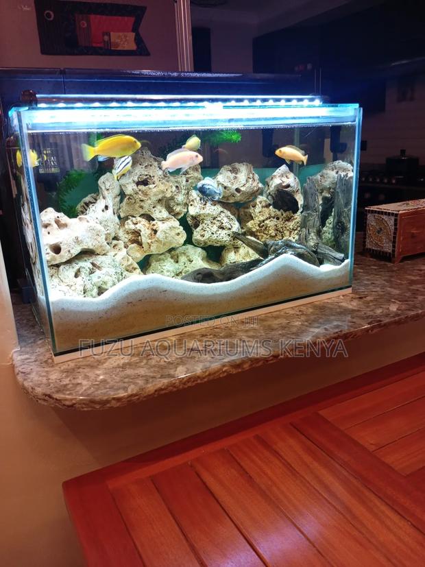 Quality Customized Small Aquarium - main view